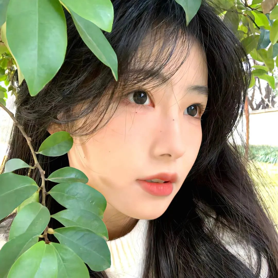 塔皮第一季